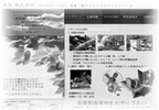 ホームページ制作会社