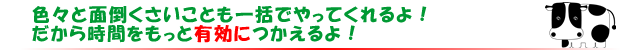 色々と面倒くさいことも一括でやってくれるよ！だから時間をもっと有効につかえるよ！